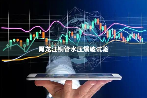 黑龙江铜管水压爆破试验